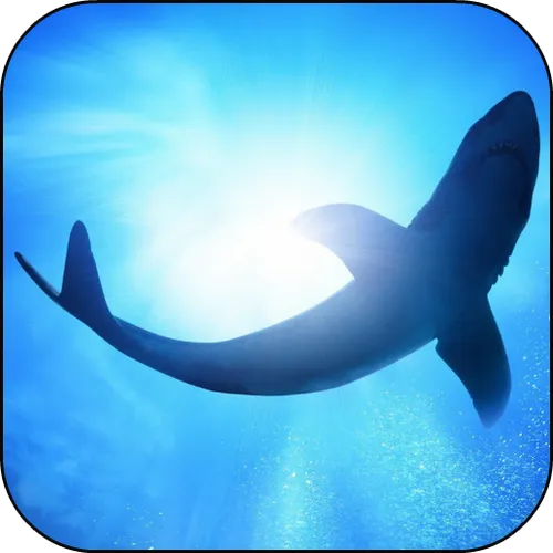 White Shark Video Wallpapers — иконка