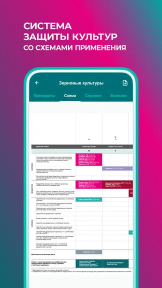 Скриншот 4/6