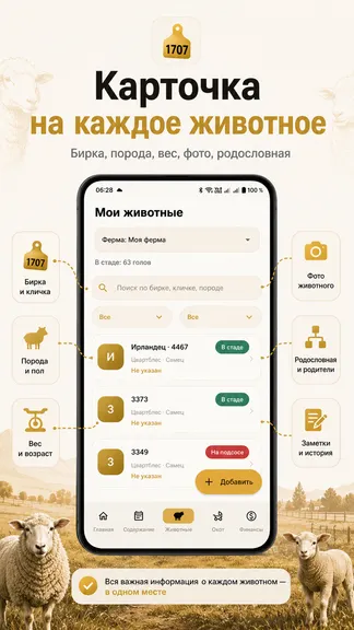 Скриншот 2/8