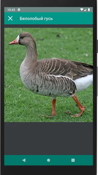 Скриншот 4/4