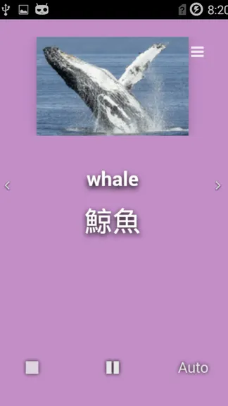 Скриншот 4/5