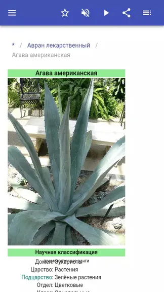 Скриншот 3/5