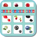 Карточки Логопеда Ягоды (141) логотип