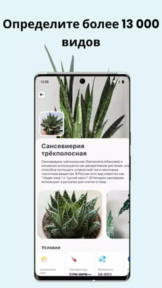 Скриншот 4/5