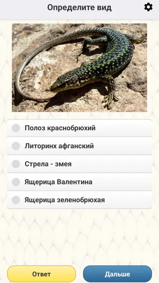 Скриншот 6/8