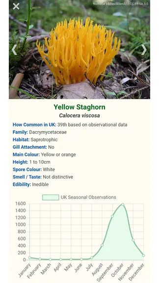 Скриншот 3/7