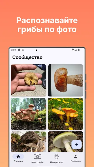 Скриншот 2/6