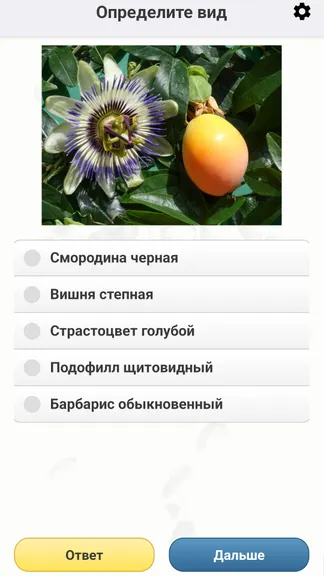 Скриншот 6/8