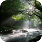 Flowing Stream Live Wallpaper логотип