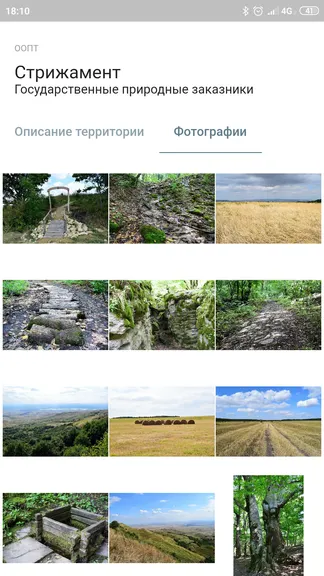 Скриншот 4/5