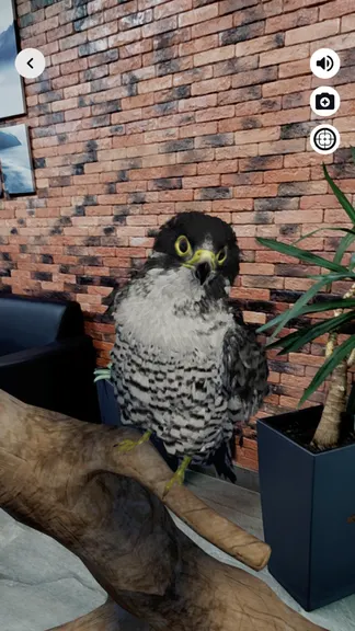 Скриншот 2/5