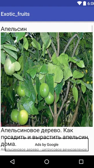 Скриншот 4/4