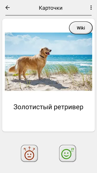 Скриншот 5/5