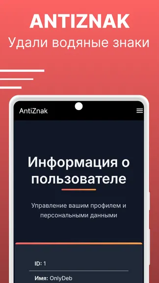 Скриншот 1/4