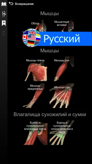 Скриншот 6/6