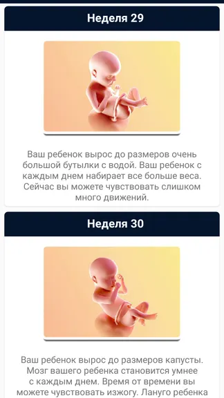 Скриншот 8/9