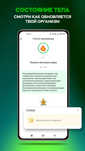 Скриншот 7/8