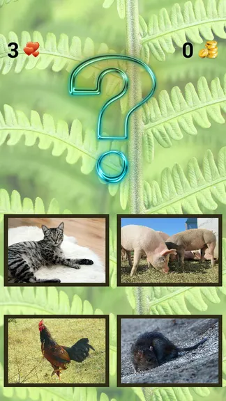 Скриншот 3/7