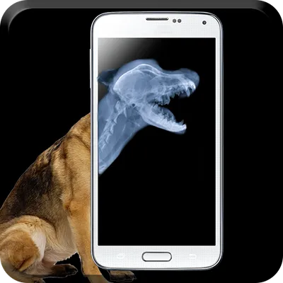 Pet Xray- Prank