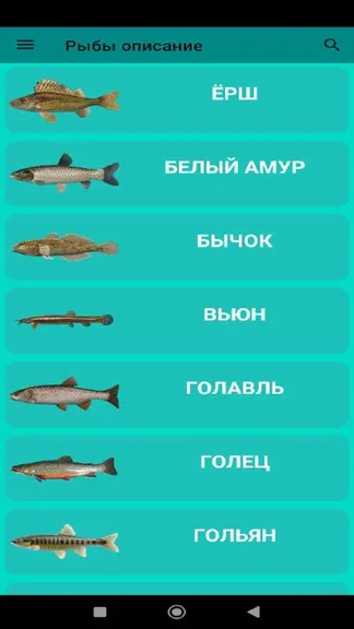 Скриншот 4/7