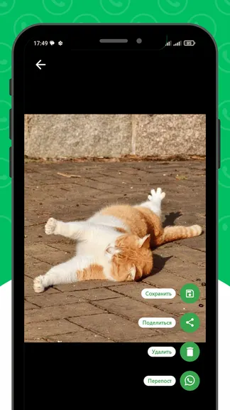 Скриншот 5/5