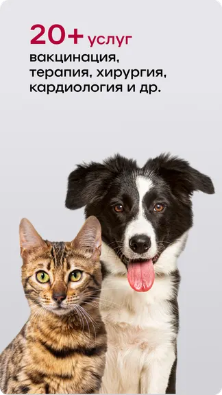 Скриншот 1/5