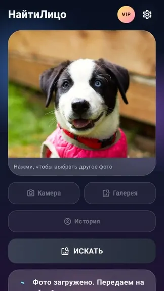 Скриншот 3/5
