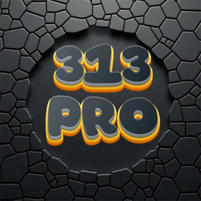 313 Pro