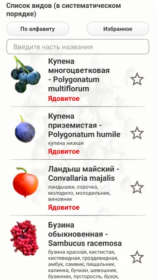 Скриншот 2/8