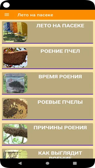 Скриншот 5/6