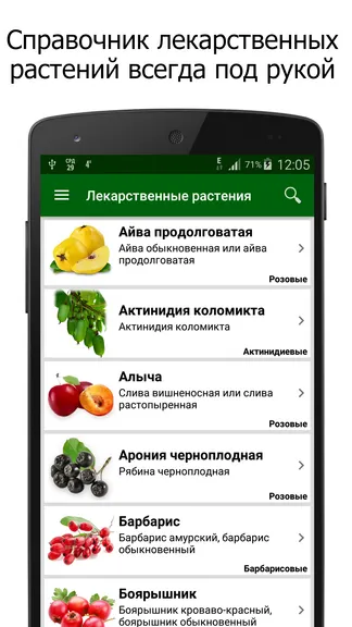 Скриншот 1/5