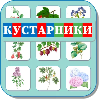 Карточки Логопеда Кустарники (147)