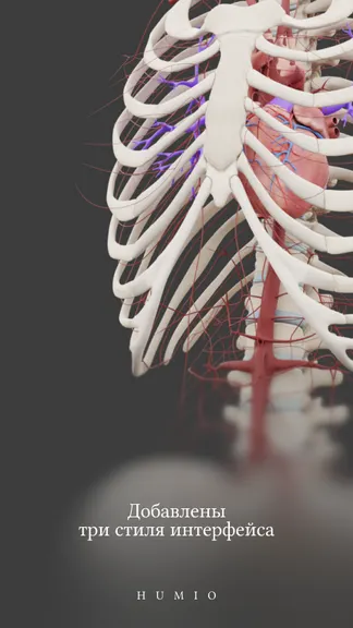 Скриншот 5/6