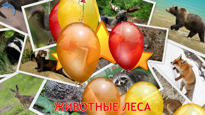 Скриншот 8/8