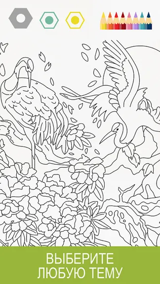 Скриншот 5/9