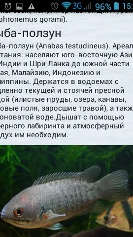 Скриншот 1/8