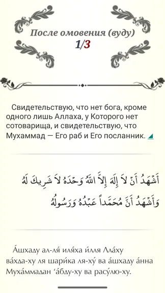 Скриншот 4/4