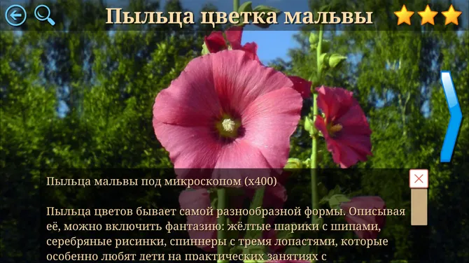 Скриншот 5/7