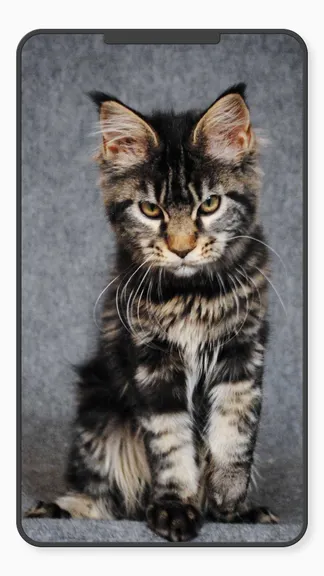 Скриншот 5/10