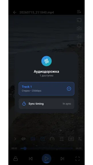 Скриншот 6/6