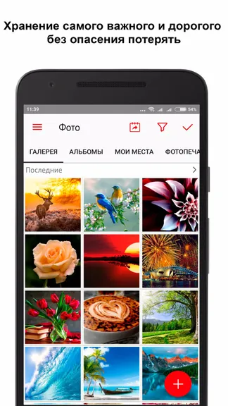 Скриншот 2/8