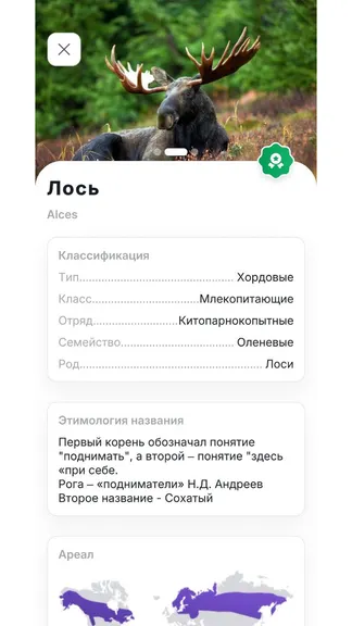 Скриншот 3/6