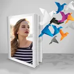 3D Frames логотип