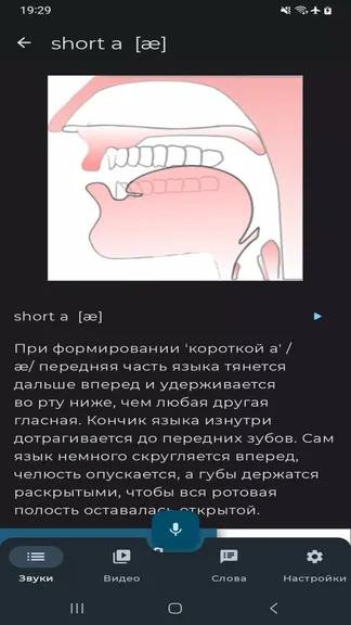 Скриншот 2/5