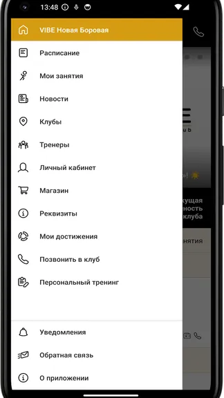 Скриншот 2/4