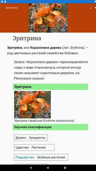 Скриншот 8/10