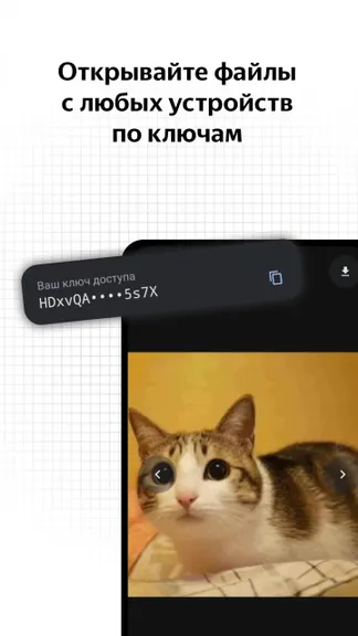 Скриншот 3/5