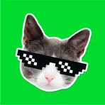 Стикеры Whatsapp — Emopix Stickerz  логотип