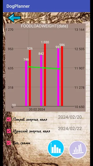 Скриншот 8/10