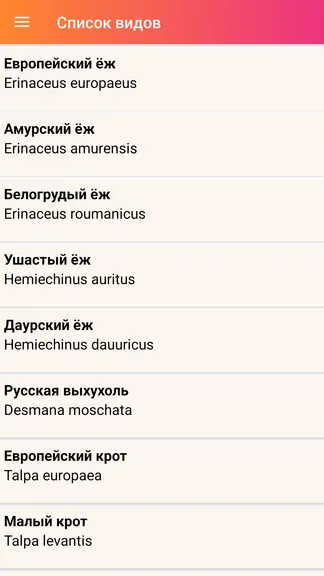 Скриншот 1/3
